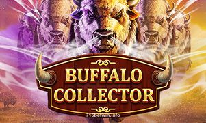 715bet Buffalo Collector Slot Game